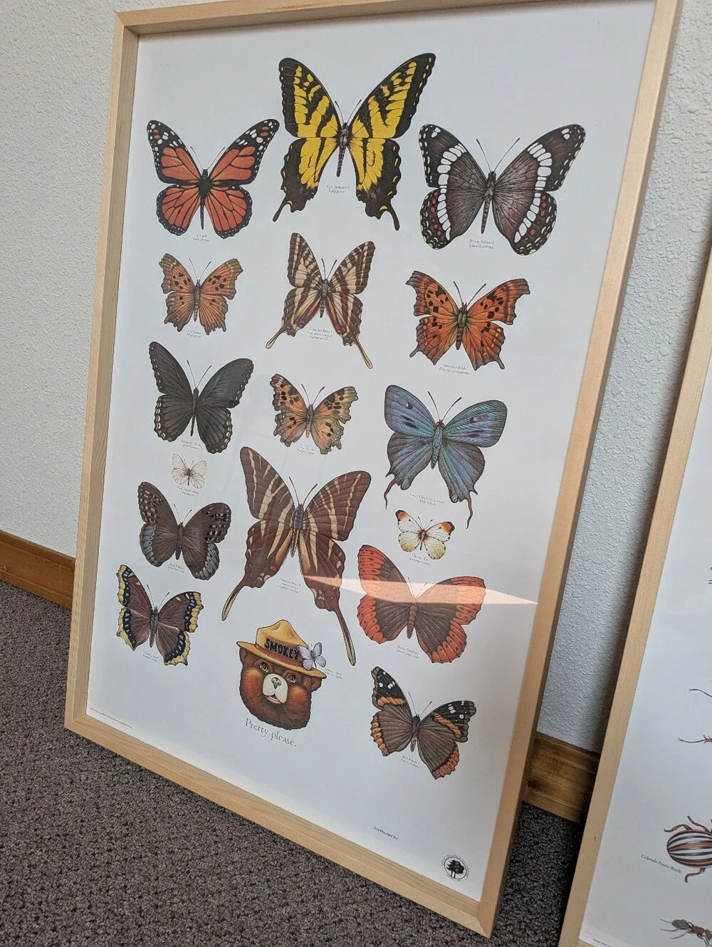 Vintage Butterfly Smokey Bear Poster 20x30